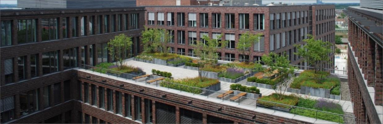 Garten- und Landschaftsbau Wolf