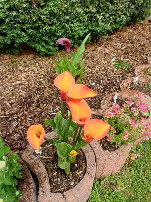Gartenfreunde Westick