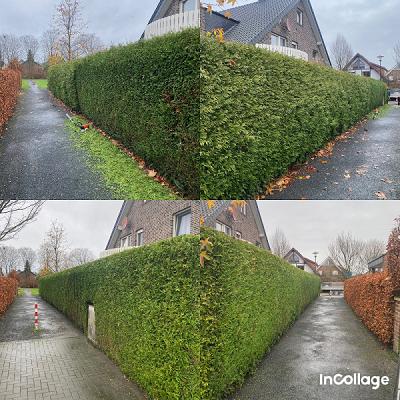Garten und Hausmeisterservice Benjamin
