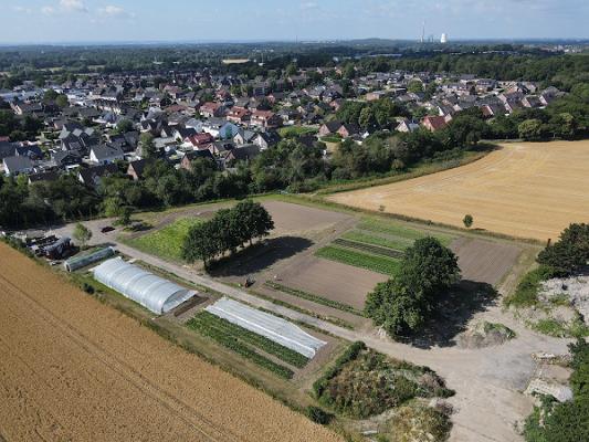 Gärtnerei Stadtgemüse