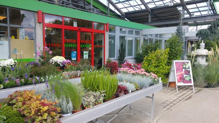 Baumschule Schimmele