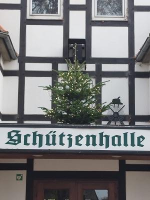 Weihnachtsbäume Florian Lehn