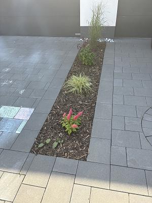 682f2adf22176