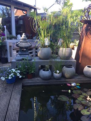 Baumschule & Kreatives - Hobbygarten Enkesen