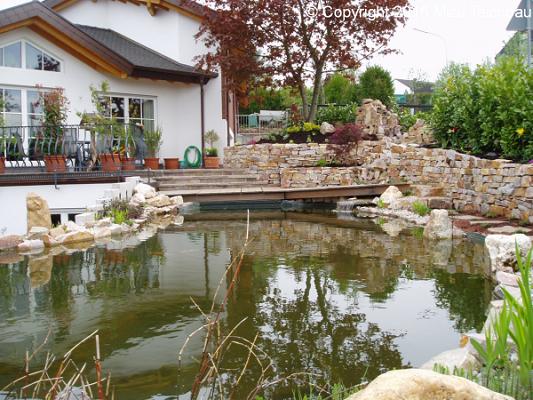 Mizu Teichbau