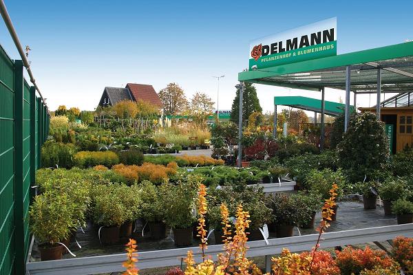 DELMANN Pflanzenhof & Blumenhaus