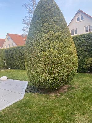 Kartal Gartenpflege & Hausmeisterservice