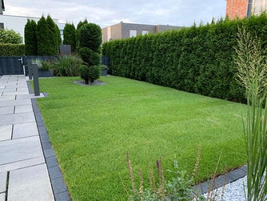 Garten und Baumpflege Roman Michel