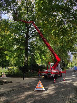 Baumpflege Klückers