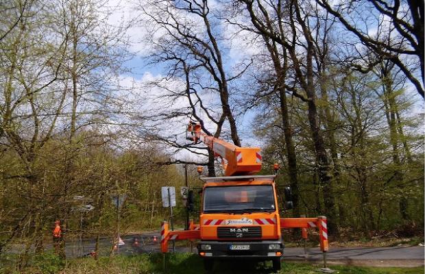 Baumpflege und Landschaftsbau Meinolf Schröder