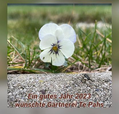 Gärtnerei & Floristik Te Pahs inh. Katharina Heßbrügge
