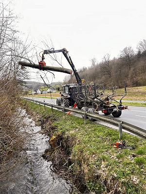 Pk Forst Garten/ Landschaftsbau & forstliches Dienstleistungsunternehmen