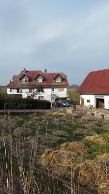 Gärtnerei Willeke