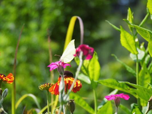 GarNa; Garten und Natur