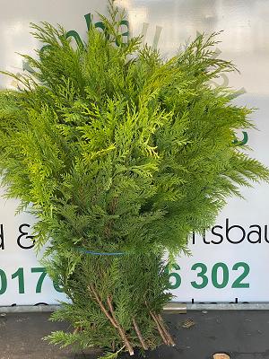 Gartenbau Nalca