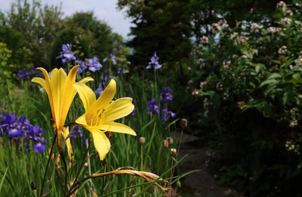Gartengestaltung Andreas Büttel