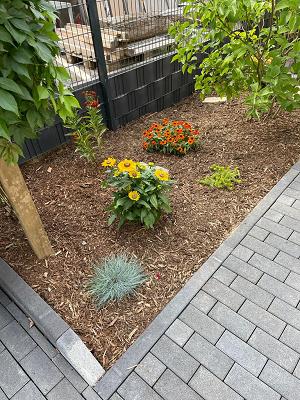 Alexander Dahm Garten-und Landschaftsbau Meisterbetrieb