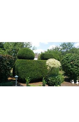 Hassan Gartenpflege und Hausmeisterservice