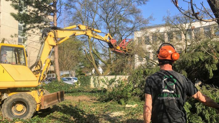 Gebr. Klein | Baumdienst & Gartengestaltung