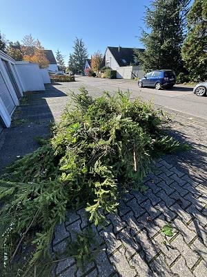 Amelongarden- Gartenpflege Trier