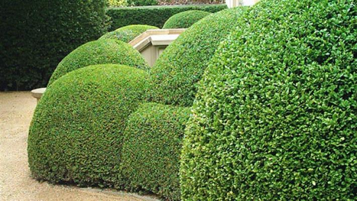 Gartenbau und Landschaftsbau Mock