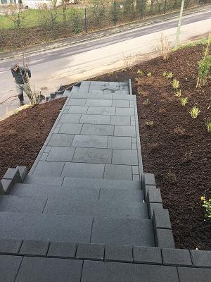 Gartendesign – Garten- und Landschaftsbau