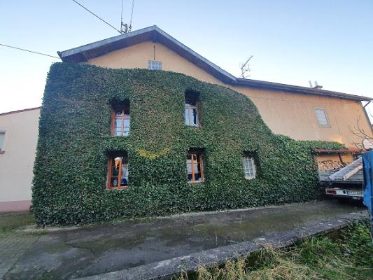Gartenpflege Basri