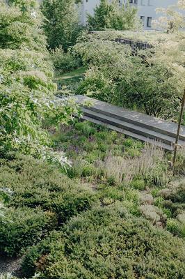Natursteingarten Nikolas Schliep