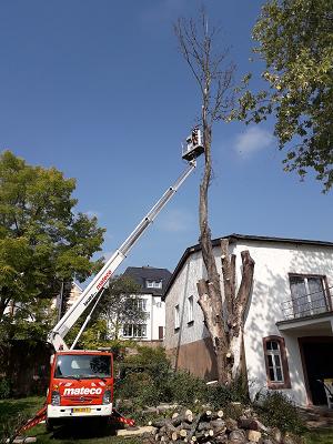 Gartendienst Bidinger