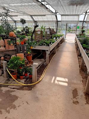 Sonja's Genuss Garten, Jürgen Bach