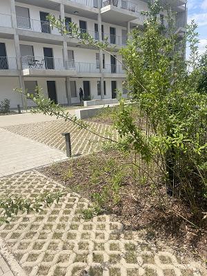 Berg Torsten Garten- und Landschaftsbau