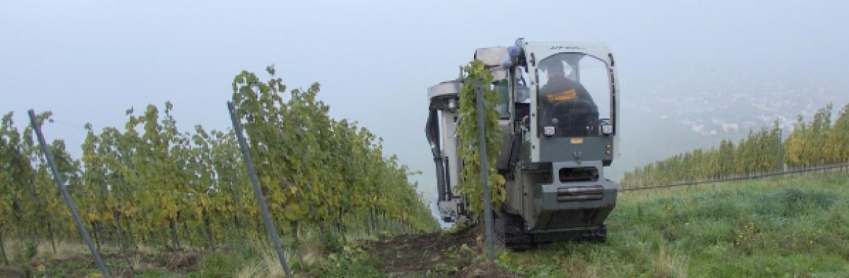 RWZ-Agrartechnik Piesport