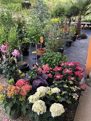 Baumschule Friedrich