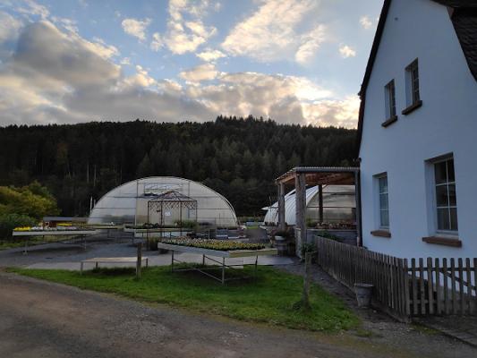 Klostergärtnerei Himmerod GmbH