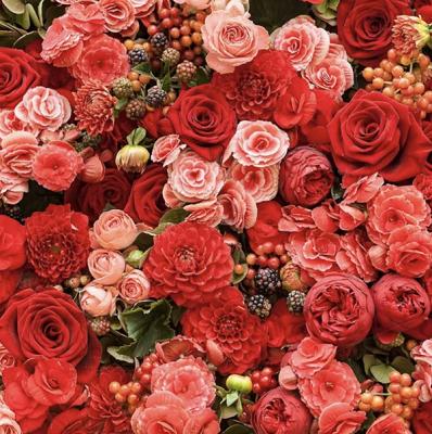 Blumenhaus und Gartenbetrieb Außem GbR