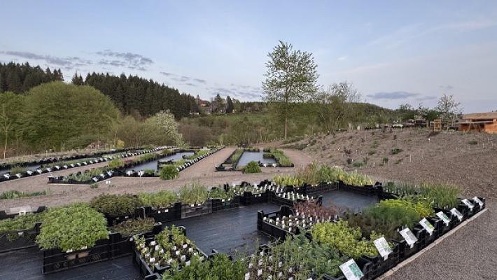 Staudengärtnerei Vulkanstauden