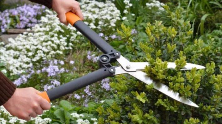 Gartenbau Heilbronn | Sommer Garten und Landschaftsbau