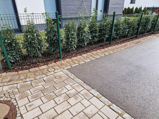 De Grenge Paradies Sàrl