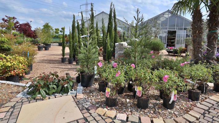 Mainzer Garten-Center