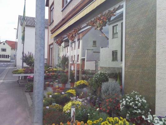 Falko Sparr Garten- und Grabpflege