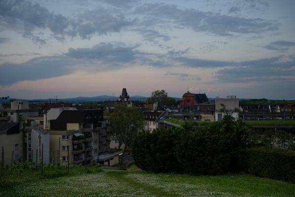 Kleiner Weinberg mit Aussicht