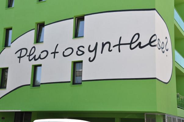 Pflanzen-Forum GmbH