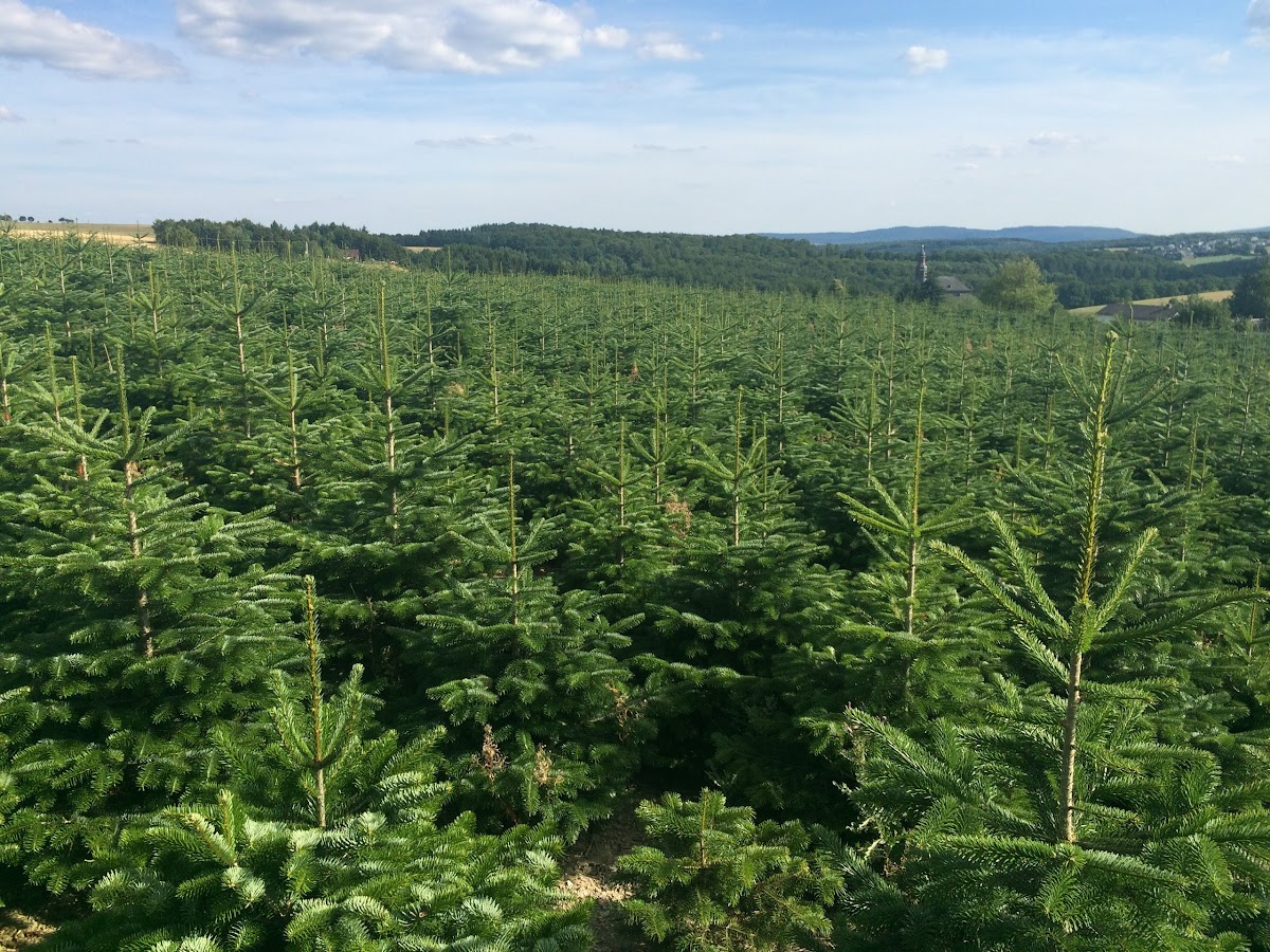 682f304de6b37