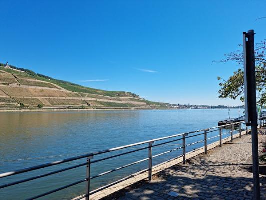 "Binger Gärten" im Hafenpark