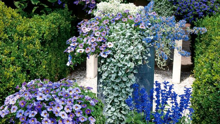 Kientzler Gartenbau GmbH & Co. KG