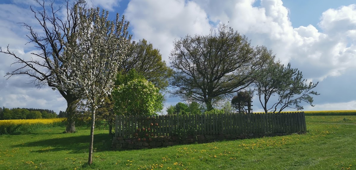 682f30bd58409