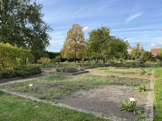 Kräutergarten Gommern