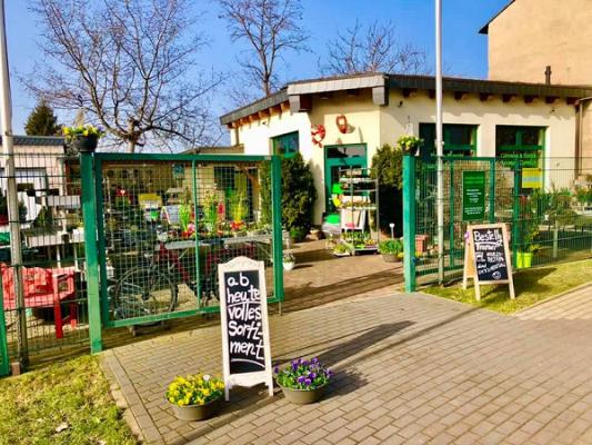 GARTENBAU GOMMLICH Fleurop Sterne-Florist in Zerbst ️ Ihre regionale Gärtnerei Grabpflege-u.Gestaltung Floristik