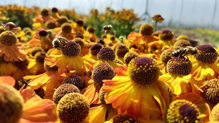 682f310b49f0f