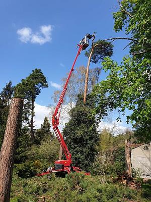 BHV Baumpflege, Garten- & Landschaftsbau
